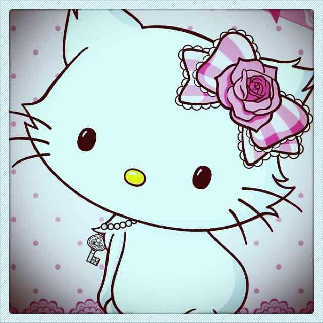 大猫大猫大猫儿