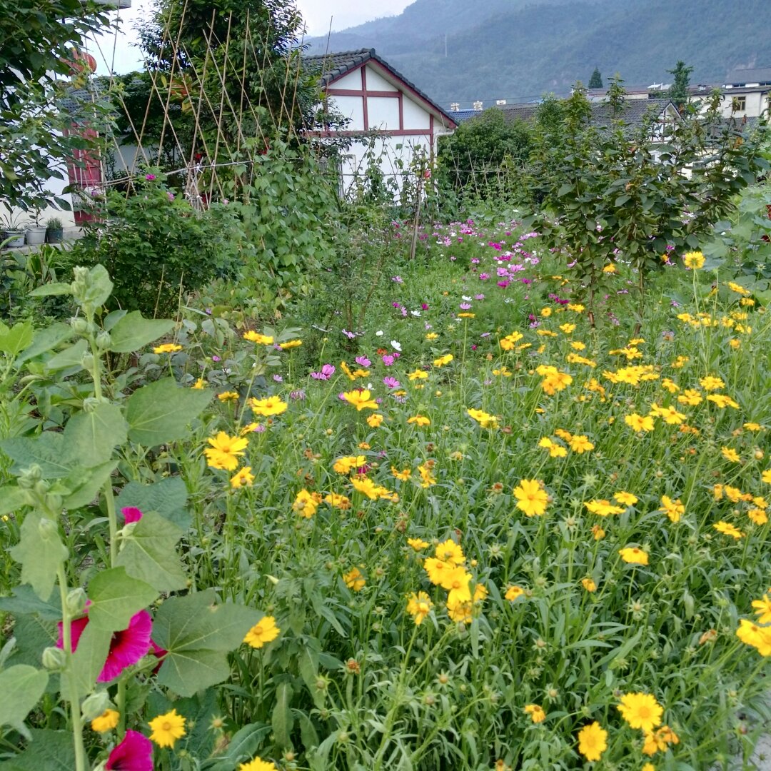 手機(jī)用戶(hù)3302_19zv