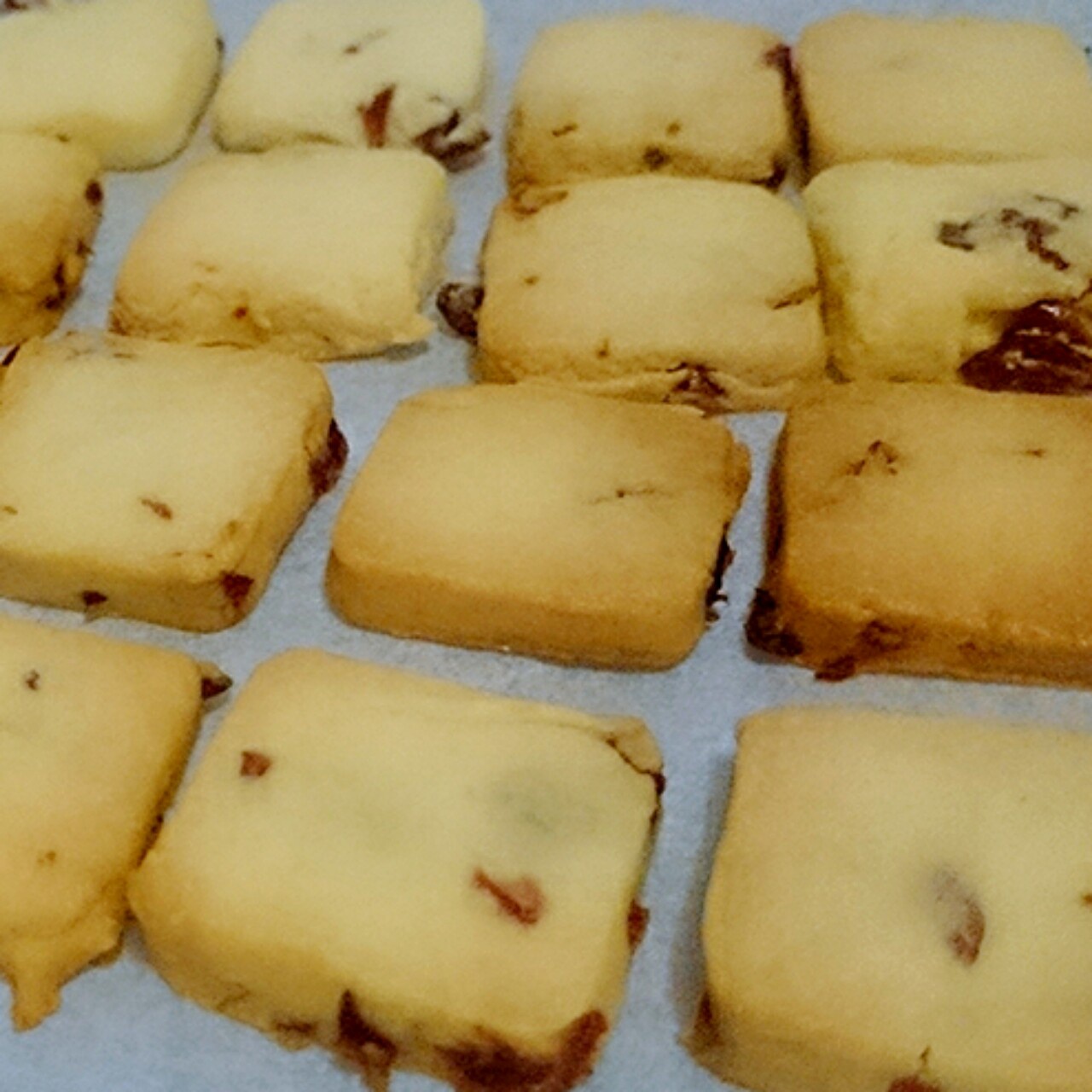 蔓越莓饼干--新手烘焙0压力 #皮黑森林#