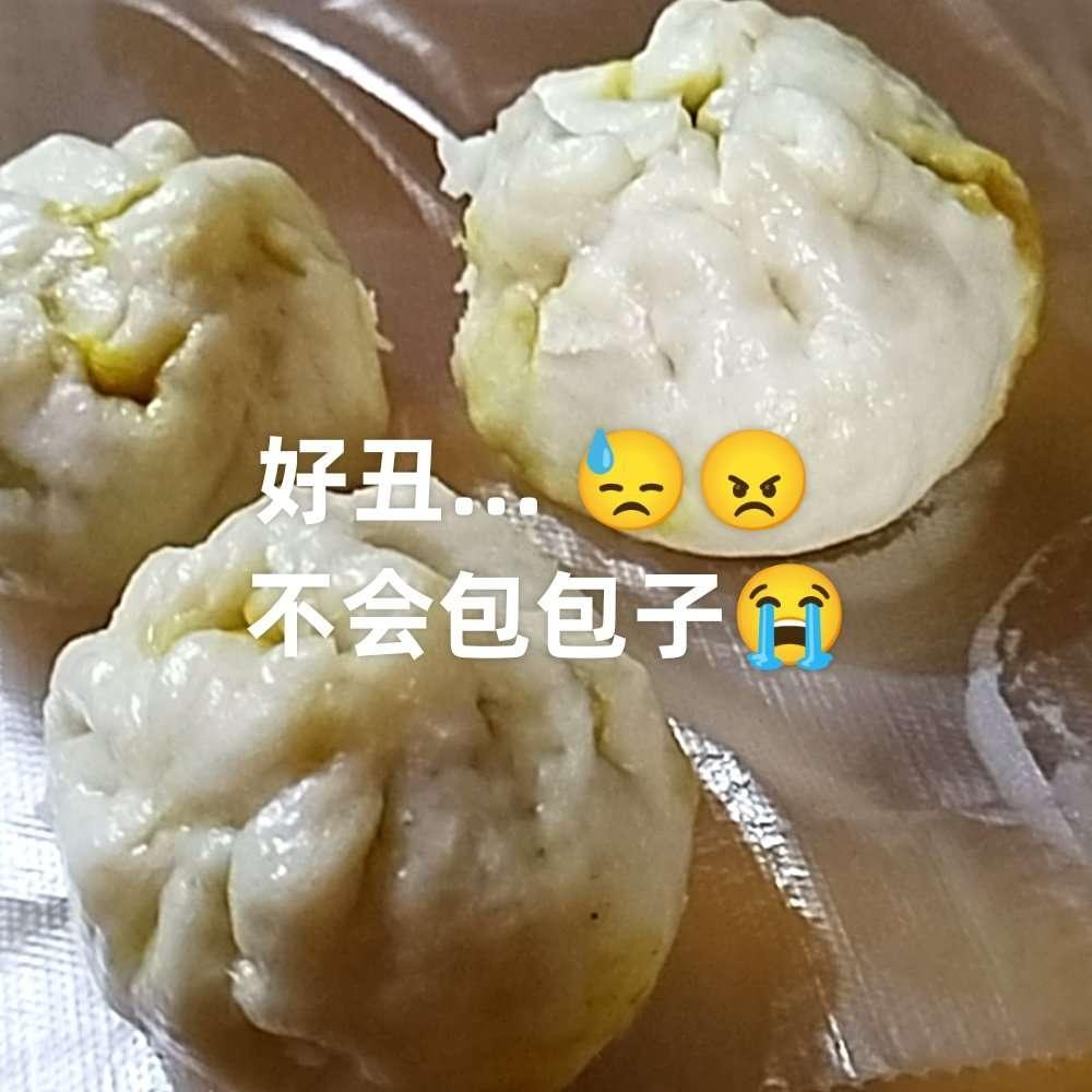 咖喱牛肉包 -- 松下SC300B蒸烤箱