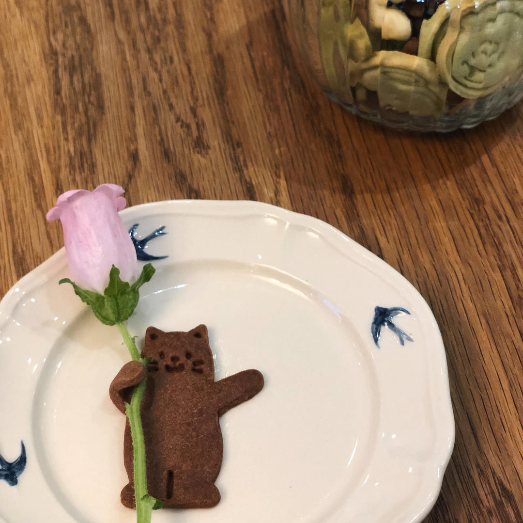 基础小饼干