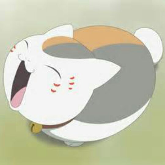遗忘猫妖