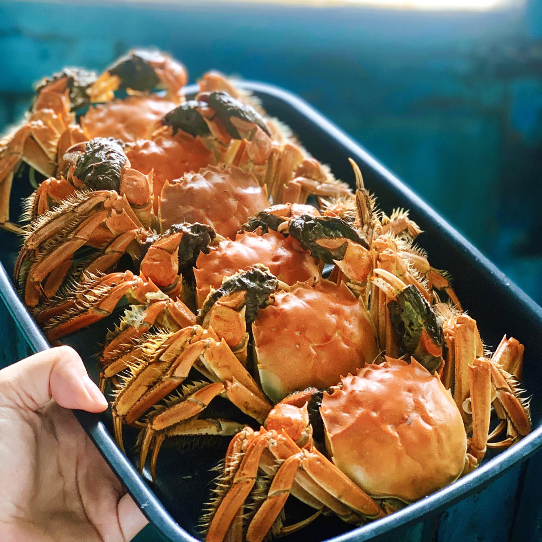 食物语