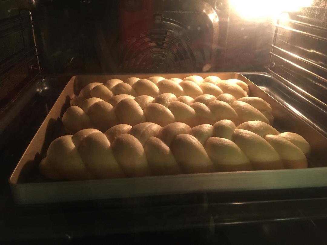 酸奶辫子面包（一次发酵）