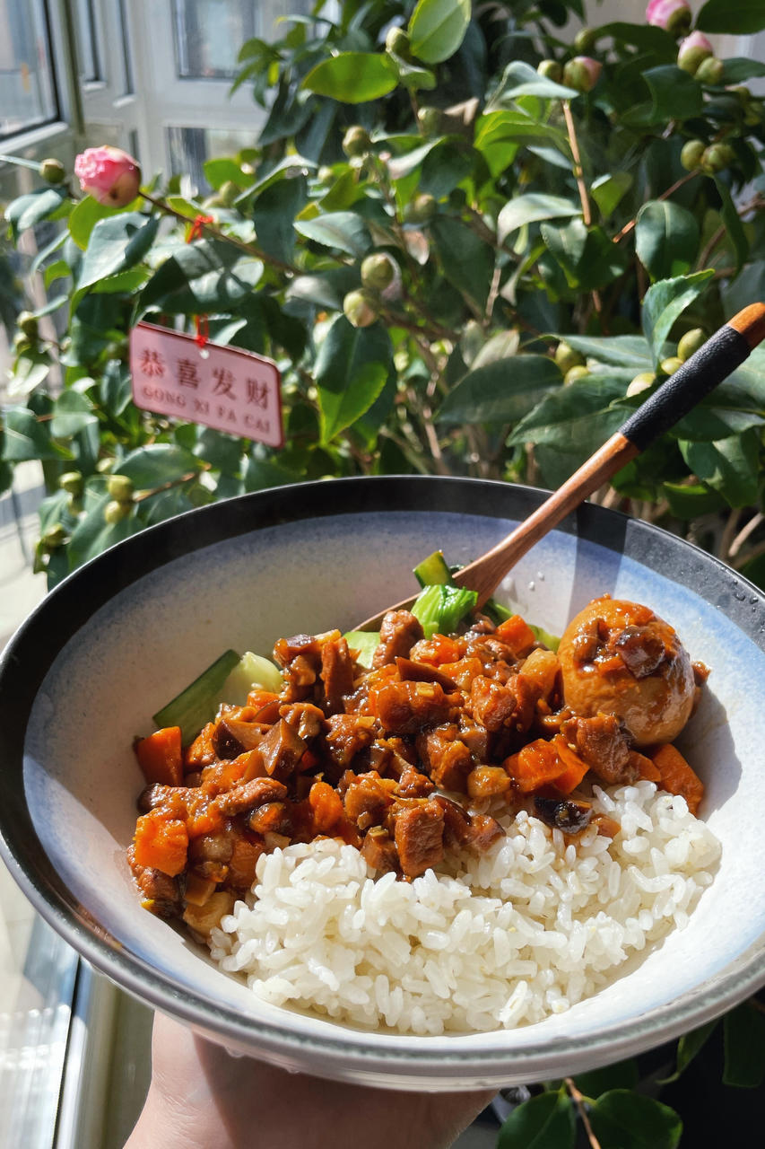 洋葱酥卤肉饭