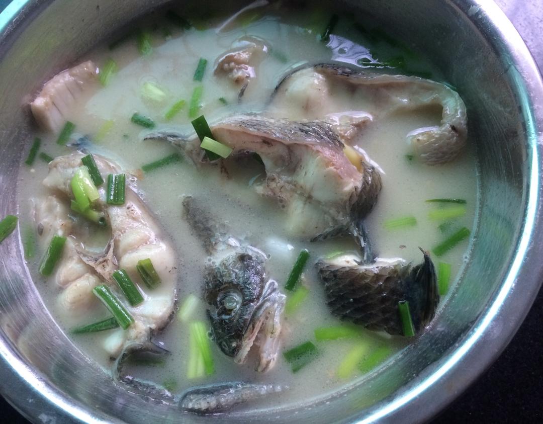 黑鱼汤