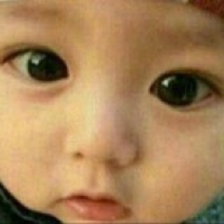 懵懵的小烧麦
