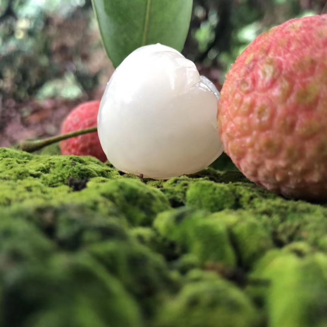 龙龙荔枝