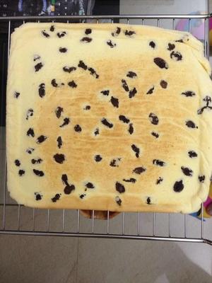 葡萄干蛋糕卷的做法 步骤10