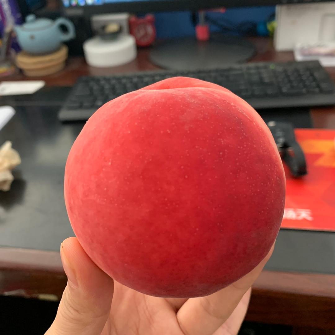 小懒兔陈夏天