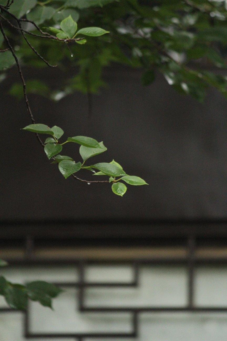 生活之美