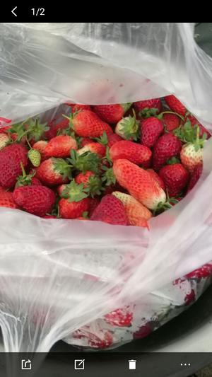 草莓🍓西米露的做法 步骤2