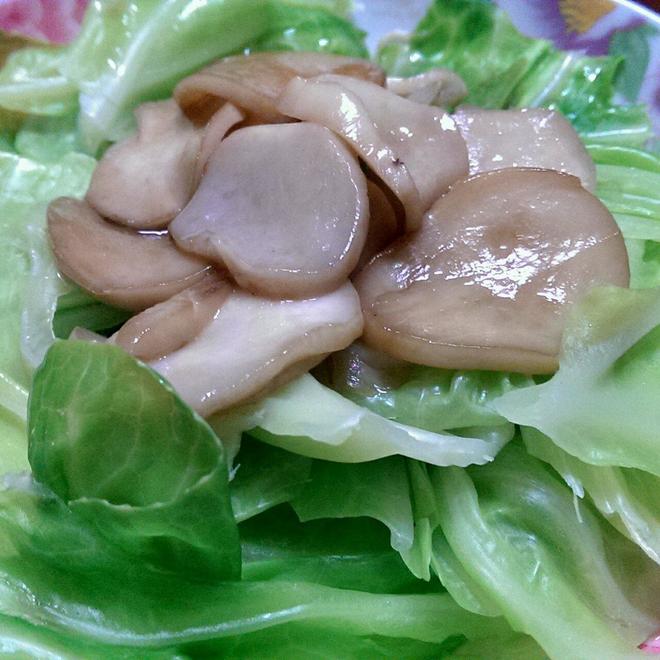 鲍汁杏鲍菇配牛心菜（减肥哒）的做法