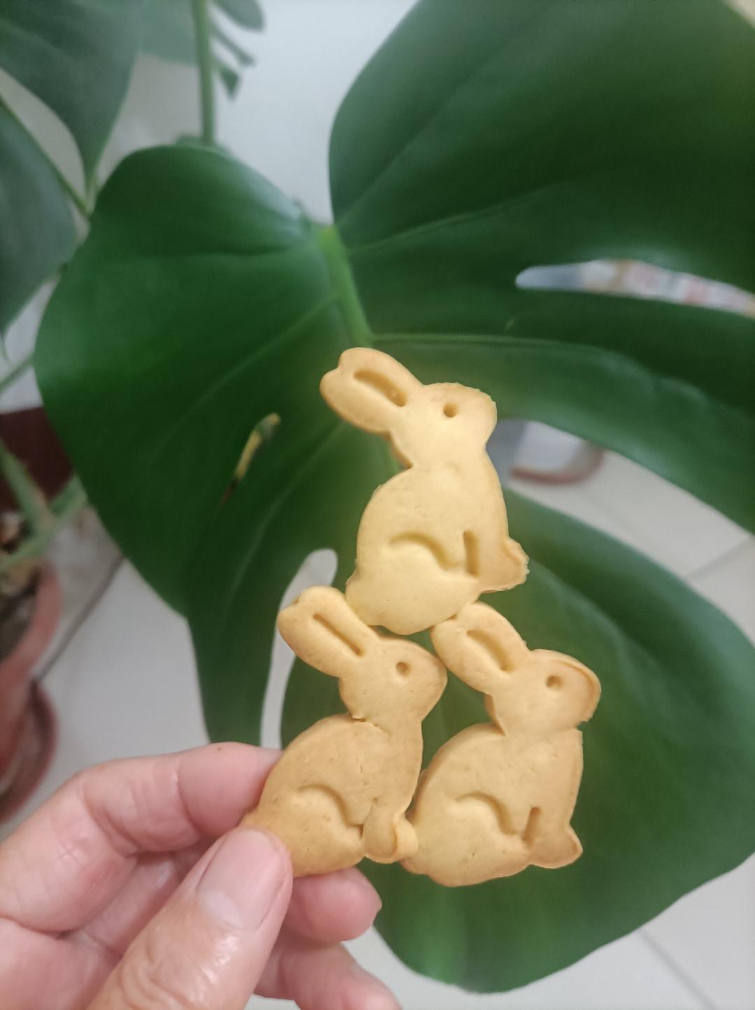 牛奶饼干（无黄油）