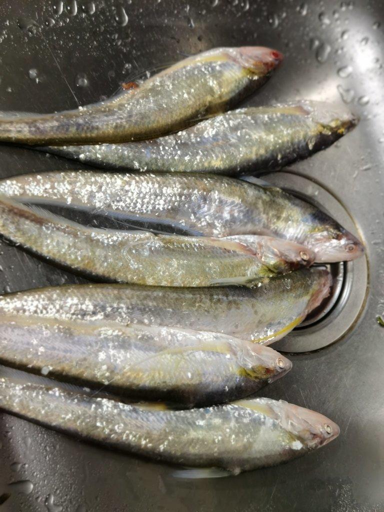 【刀鱼馄饨】这是什么神仙馄炖，居然要500块一碗！