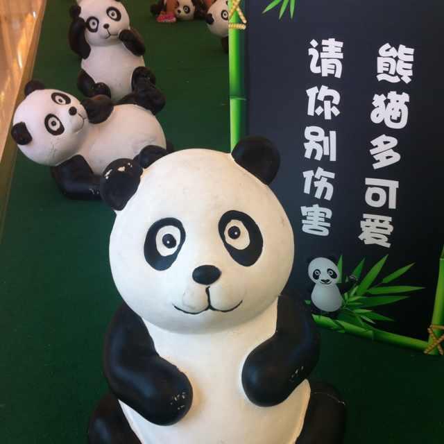 张玮玮SZ