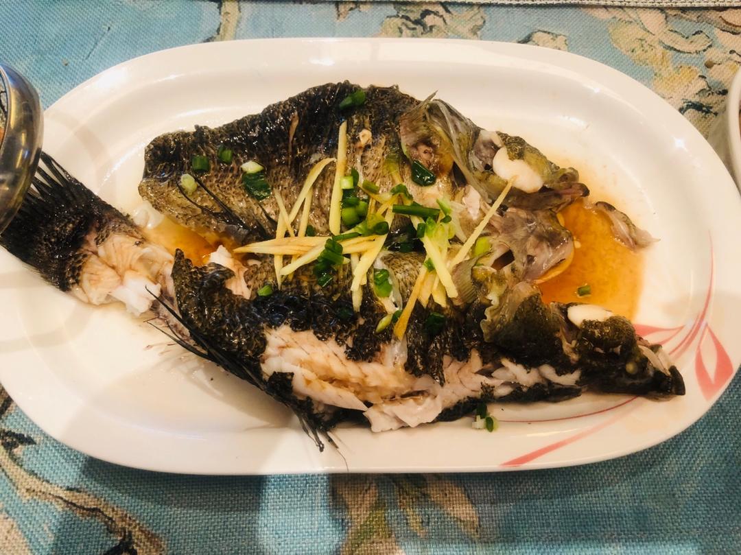 严伍做的清蒸笋壳鱼 媲美饭店水准