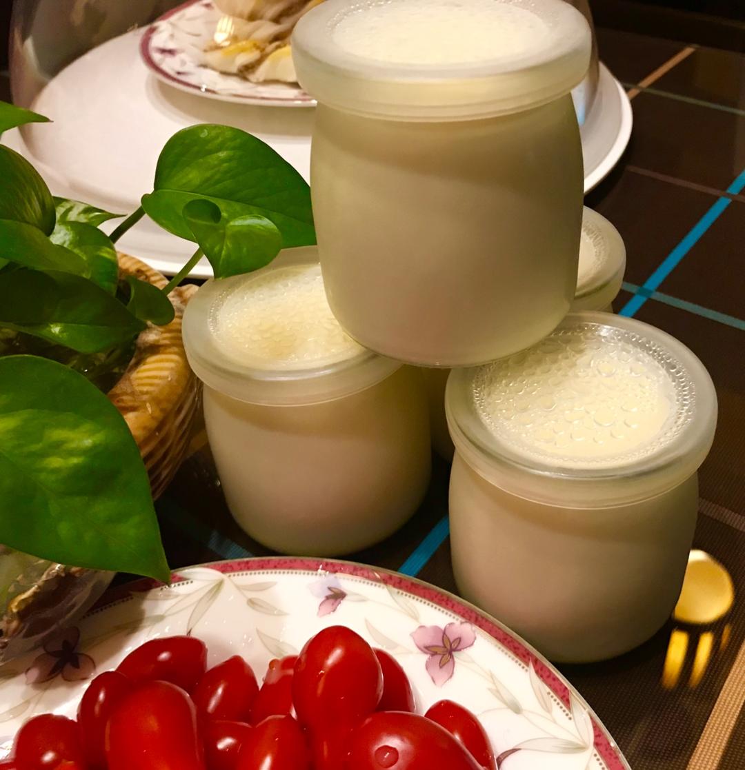 酸奶的6种做法