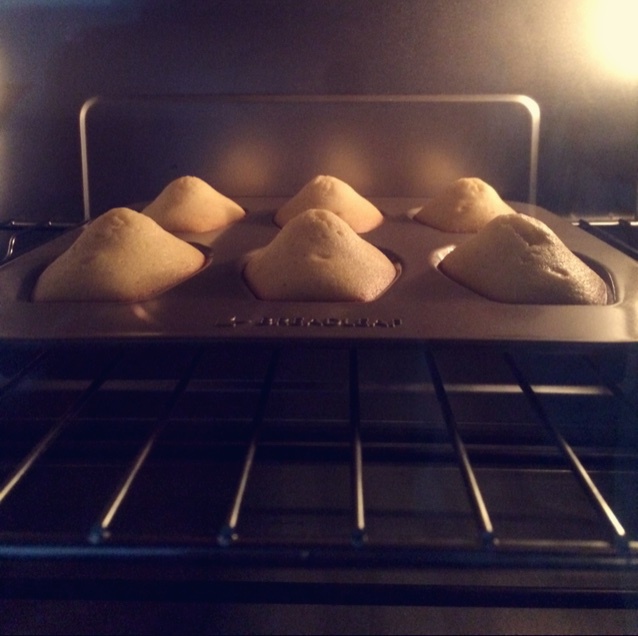 双色迷你玛德琳