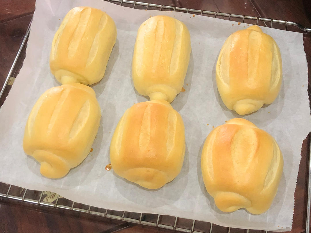 牛奶哈斯