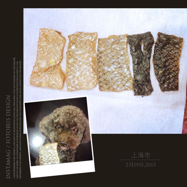 狗狗奖励零食-----烤三文鱼皮