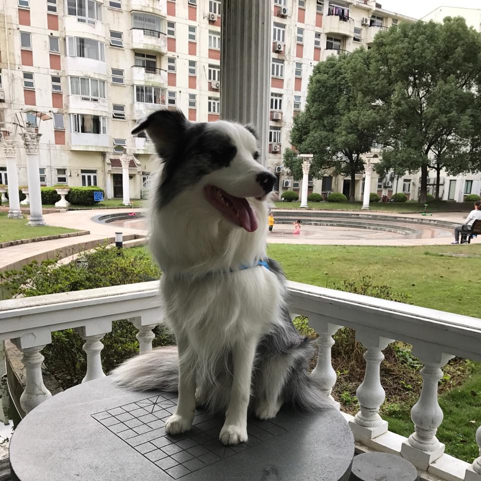 上海么心