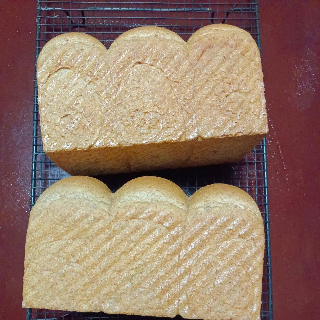双种芝麻全麦吐司 100%全麦 烫种+波兰种