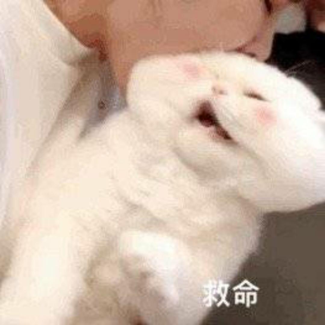 滋儿哇滋儿哇滋儿哇