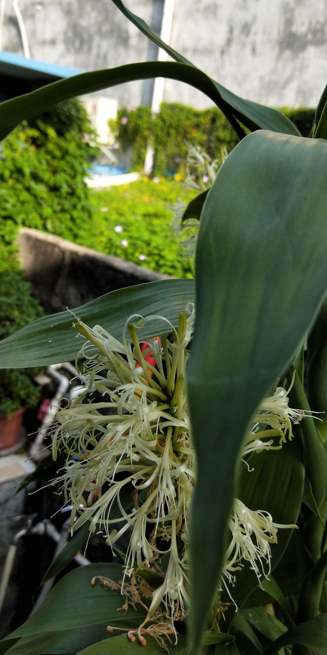 早餐 年9月23日图片 初心铭 下厨房