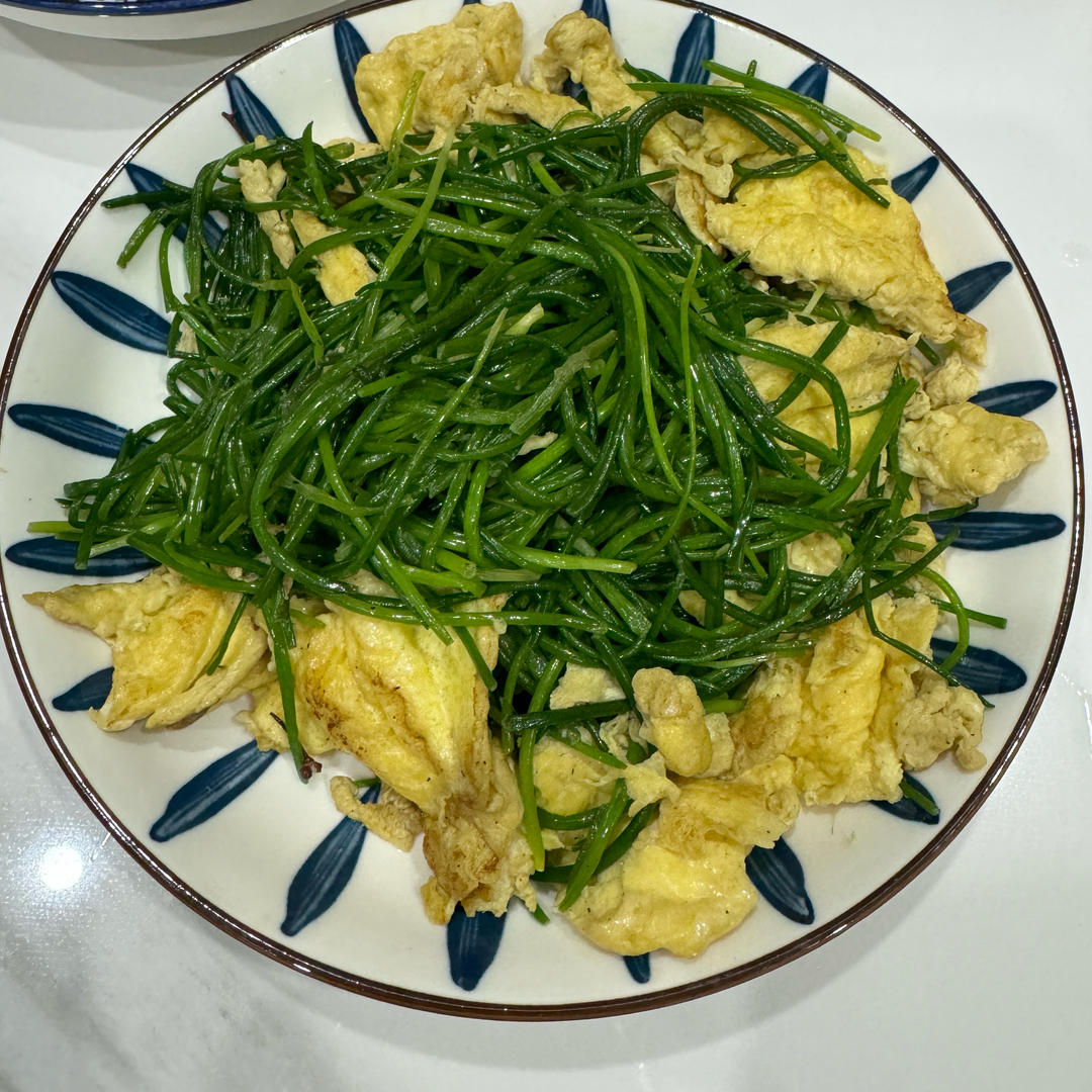 我炒了一盘世上最昂贵的葱：沙葱炒鸡蛋