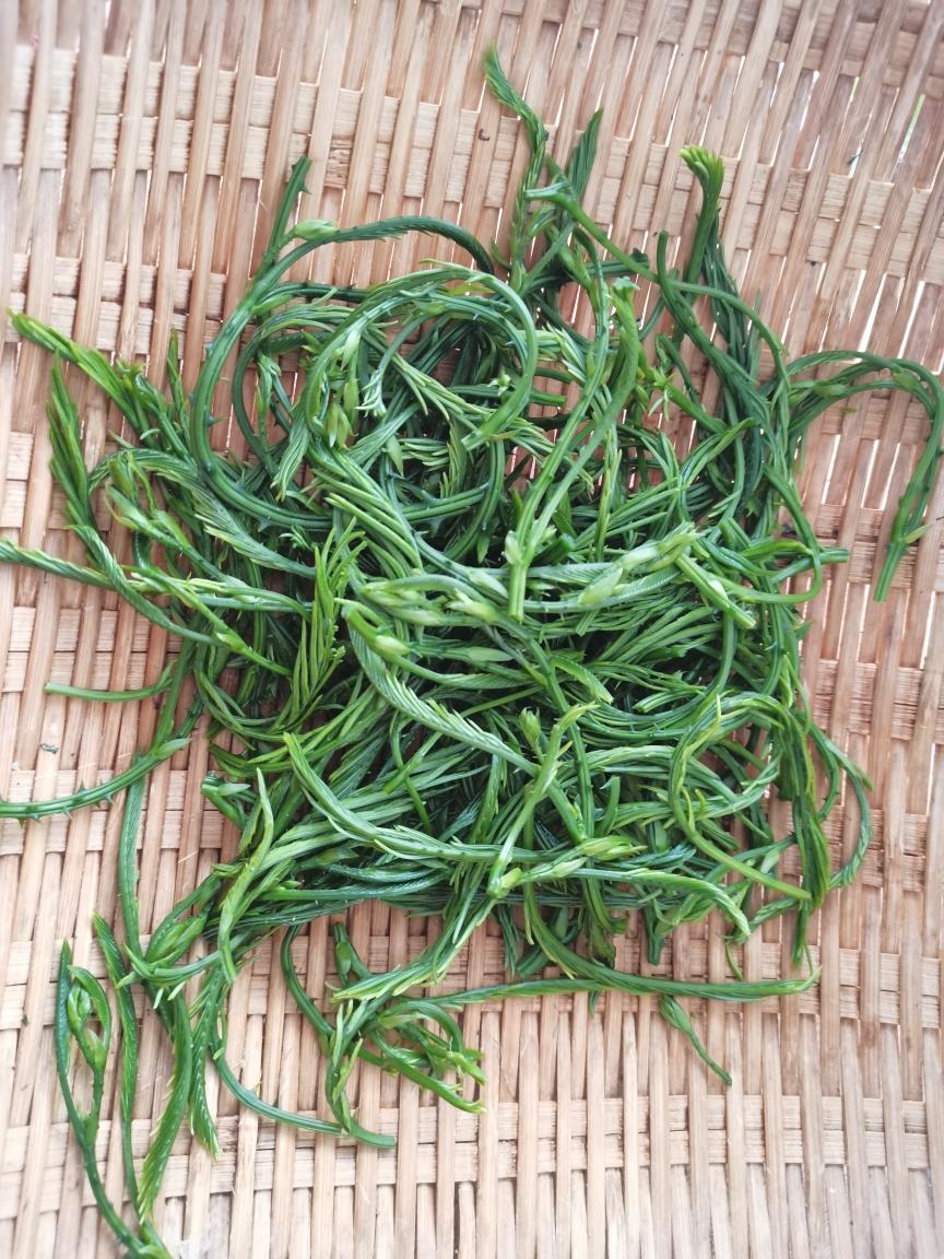 云南臭菜煎蛋的做法