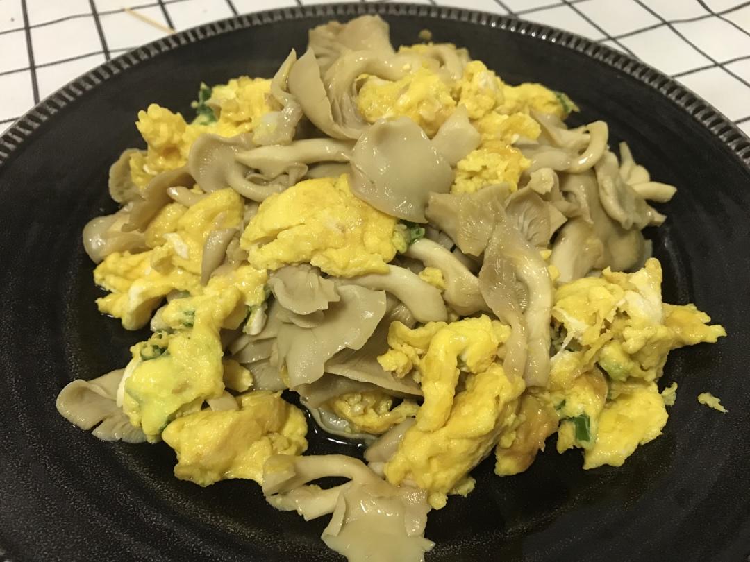 榆黄菇炒蛋