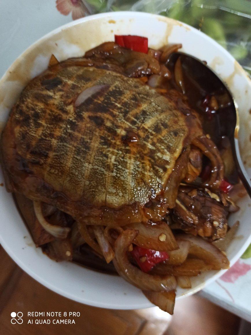 砂锅红烧甲鱼