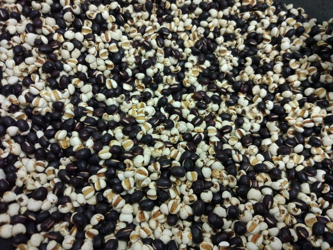 美白祛湿又好喝的水！红豆薏米茶，泡水喝！