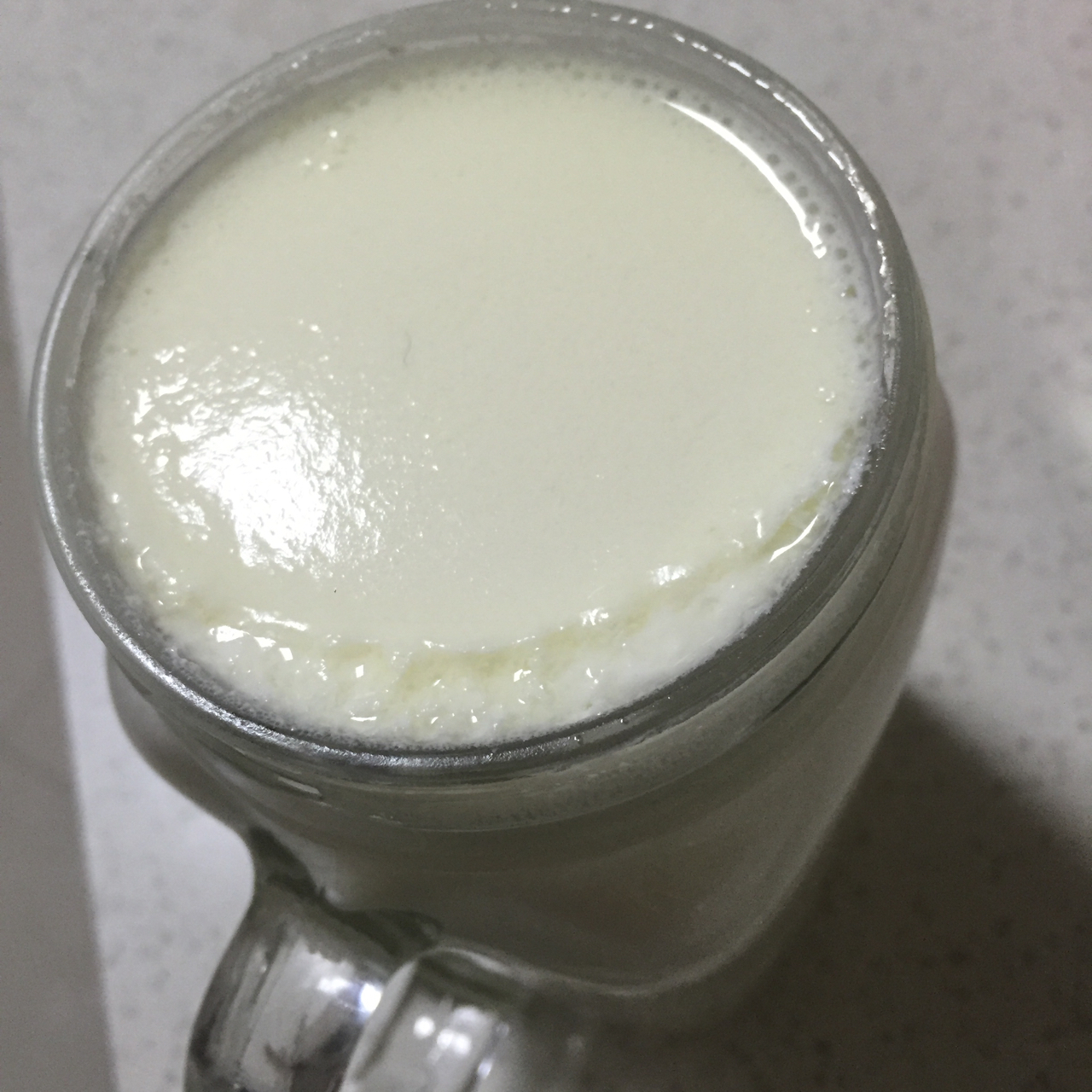 自制老酸奶