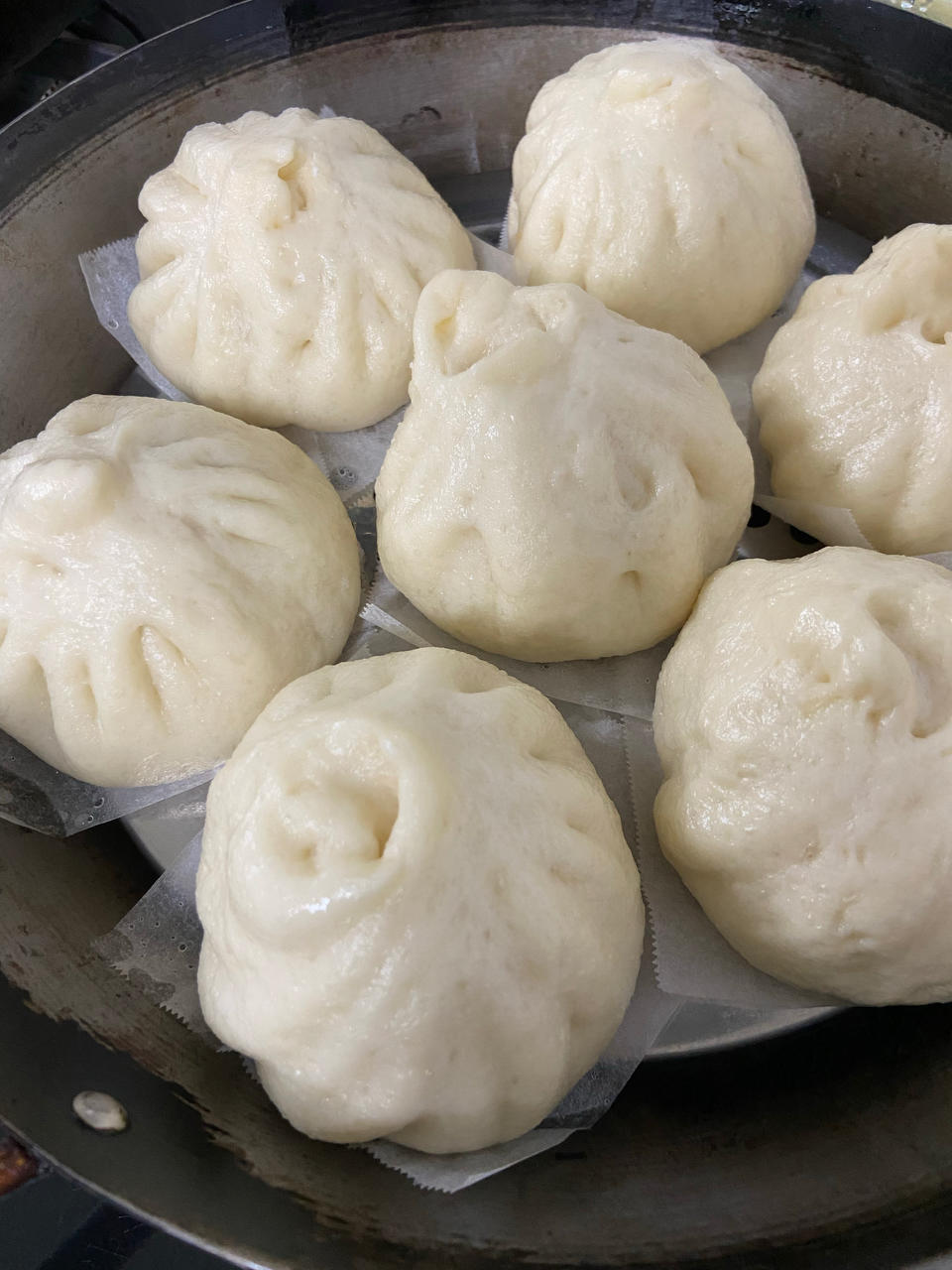 一次发酵肉包子