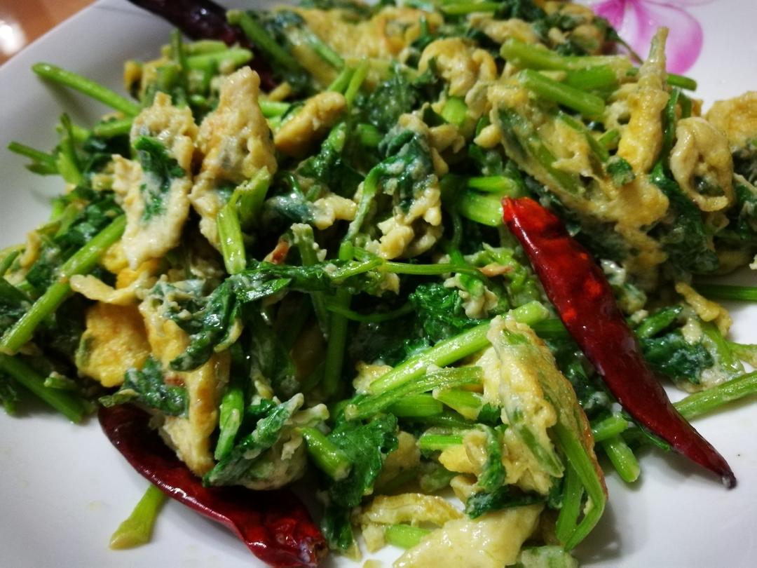 香菜炒鸡蛋