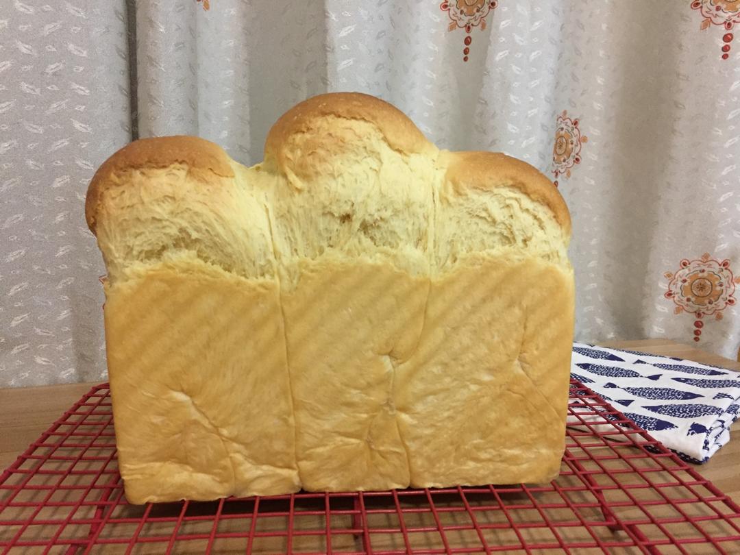 北海道巨蛋吐司