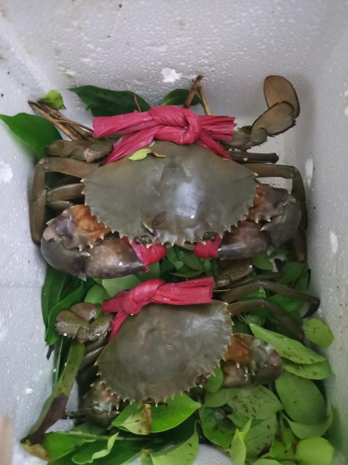 步骤图 鲜香祛寒的白胡椒奄仔蟹的做法 鲜香祛寒的白胡椒奄仔蟹的做法步骤 菜谱 下厨房