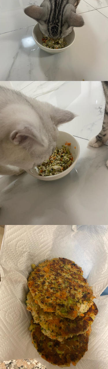 减肥、健身人士吃了狂点赞的蔬菜鸡胸肉饼