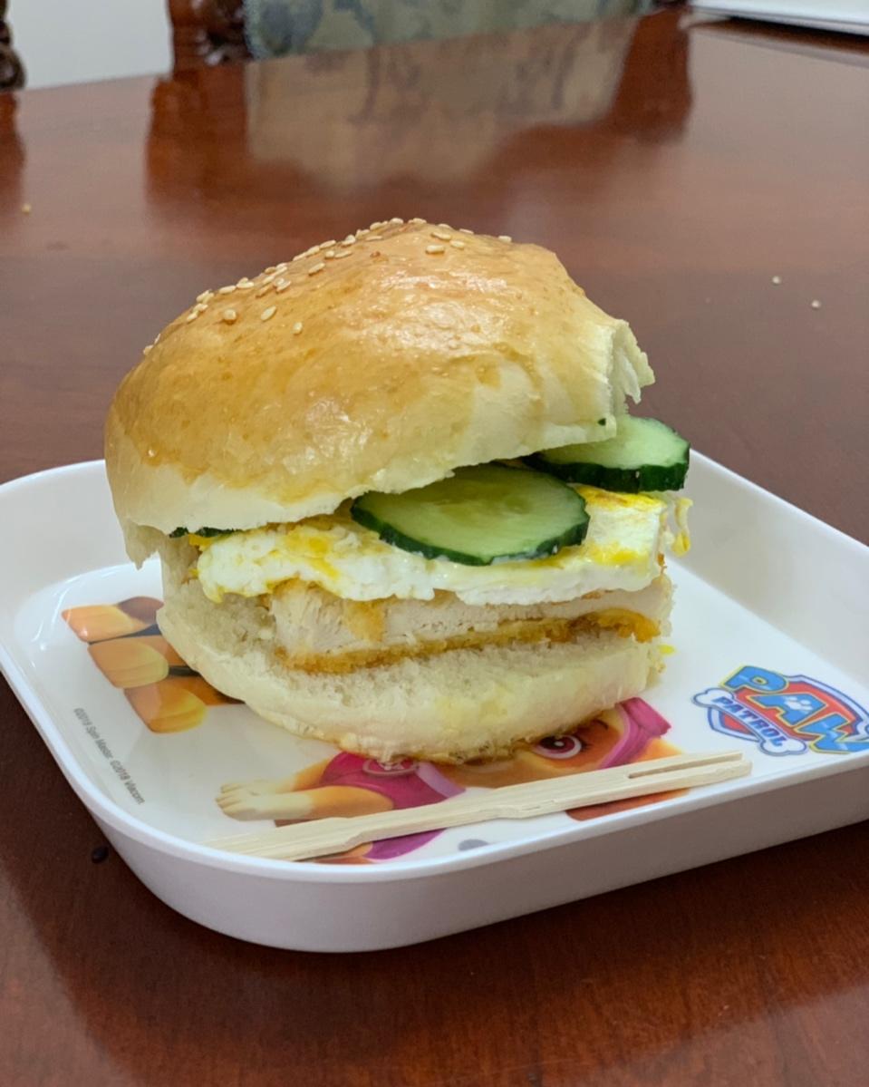 汉堡胚（中种法）