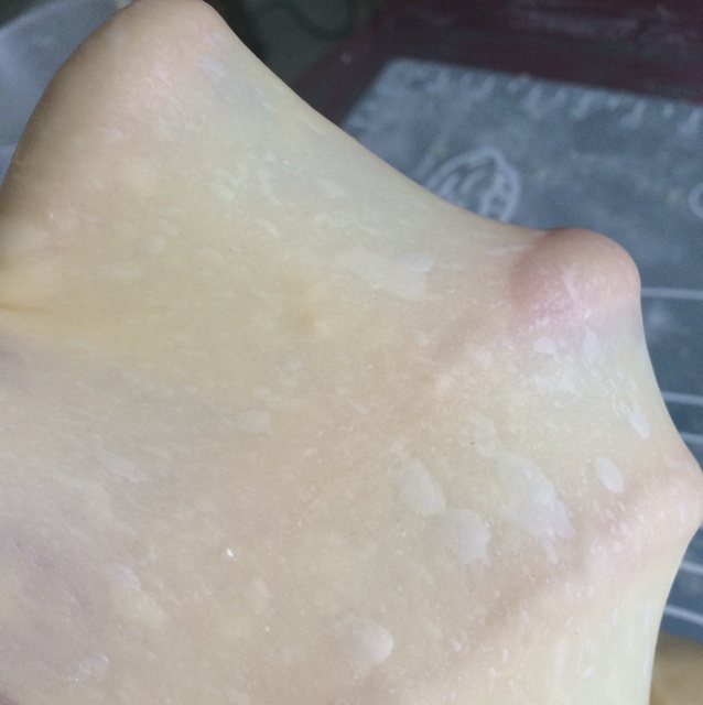 手套膜