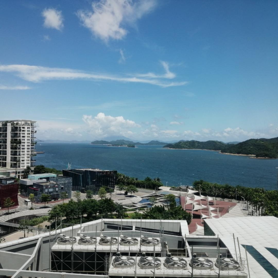 蜜糖米飯兔寶寶