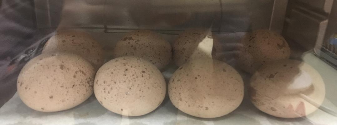 系列二 可可蜜豆恐龙蛋·麻薯面包·麻薯包 自己做了1000➕的私人配方