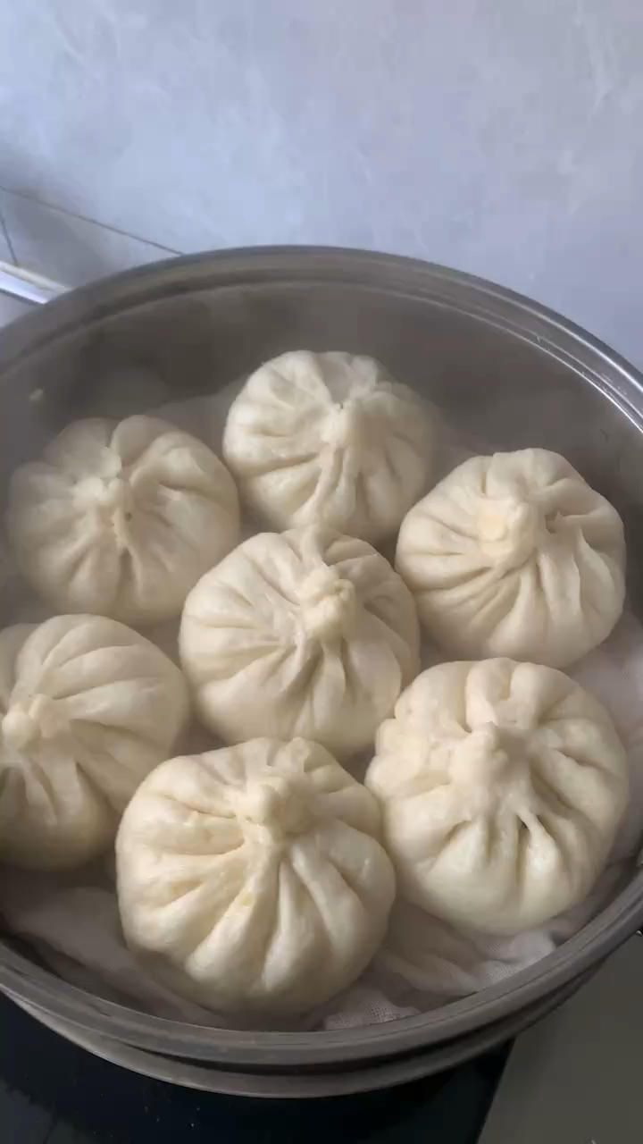 包子皮的发酵方子