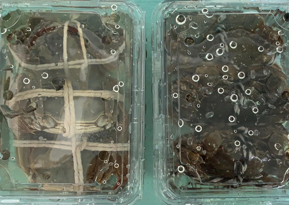 烤梨【烤箱食谱11月】