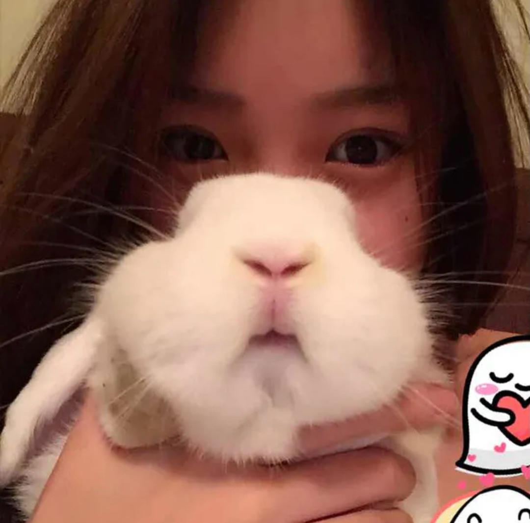 可爱又迷人的反派角色喔