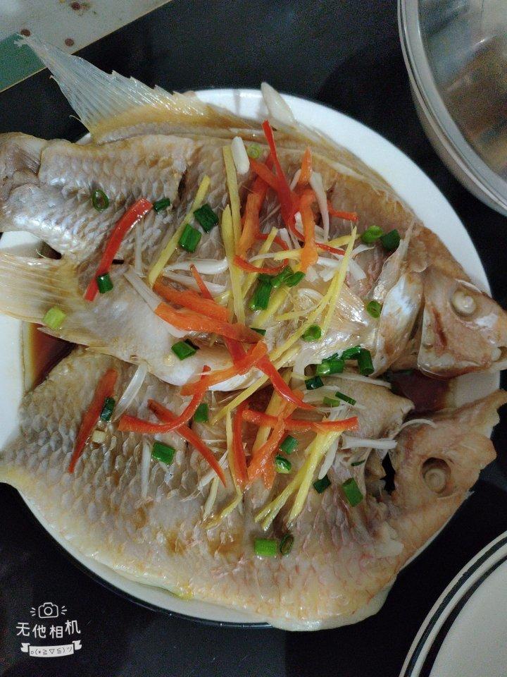 清蒸鱼/清蒸红绸鱼/碟鱼