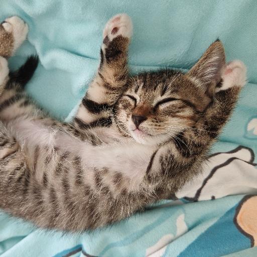 给媳妇做饭得臭男人