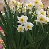 小粥粥-